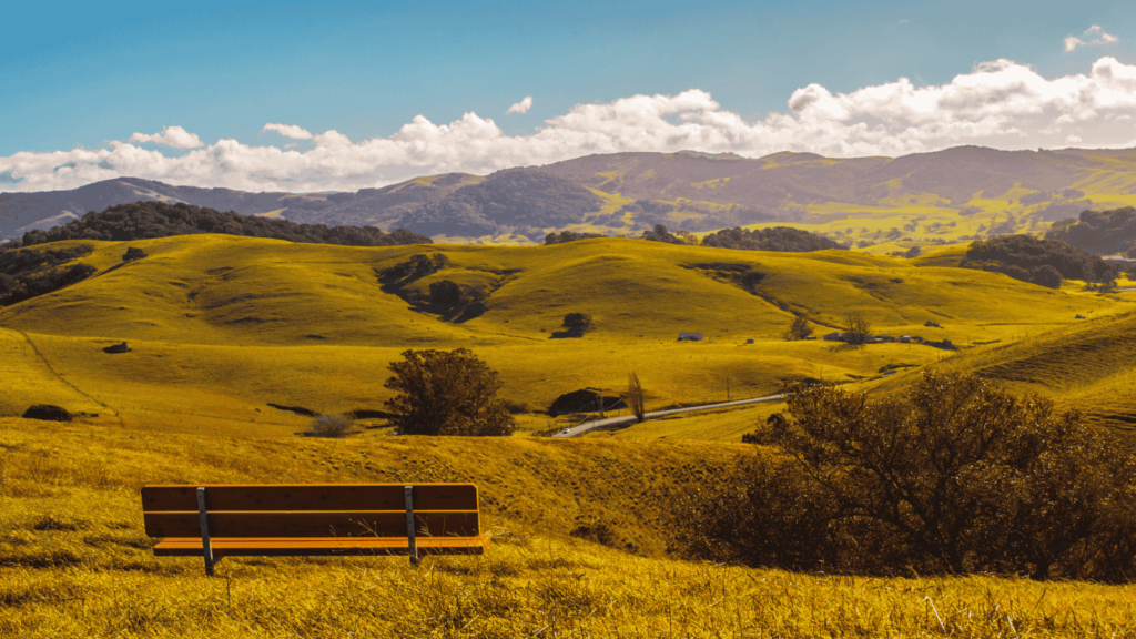 A view of the rolling hills of Sonoma County under a blue sky.