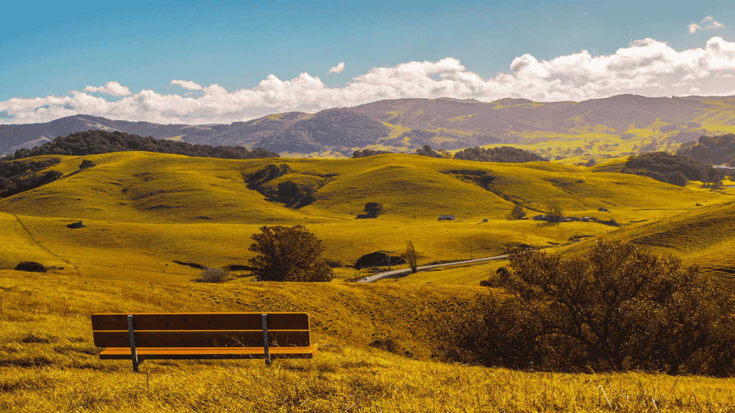 A view of the rolling hills of Sonoma County under a blue sky.